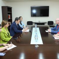 ՀՀ ԱԳ նախարարի տեղակալ Պարույր Հովհաննիսյանի հանդիպումը ԵԽԽՎ զեկուցող Փոլ Գավանի հետ