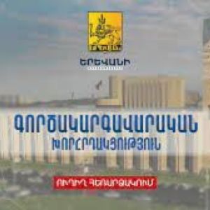 Գործակարգավարական խորհրդակացություն