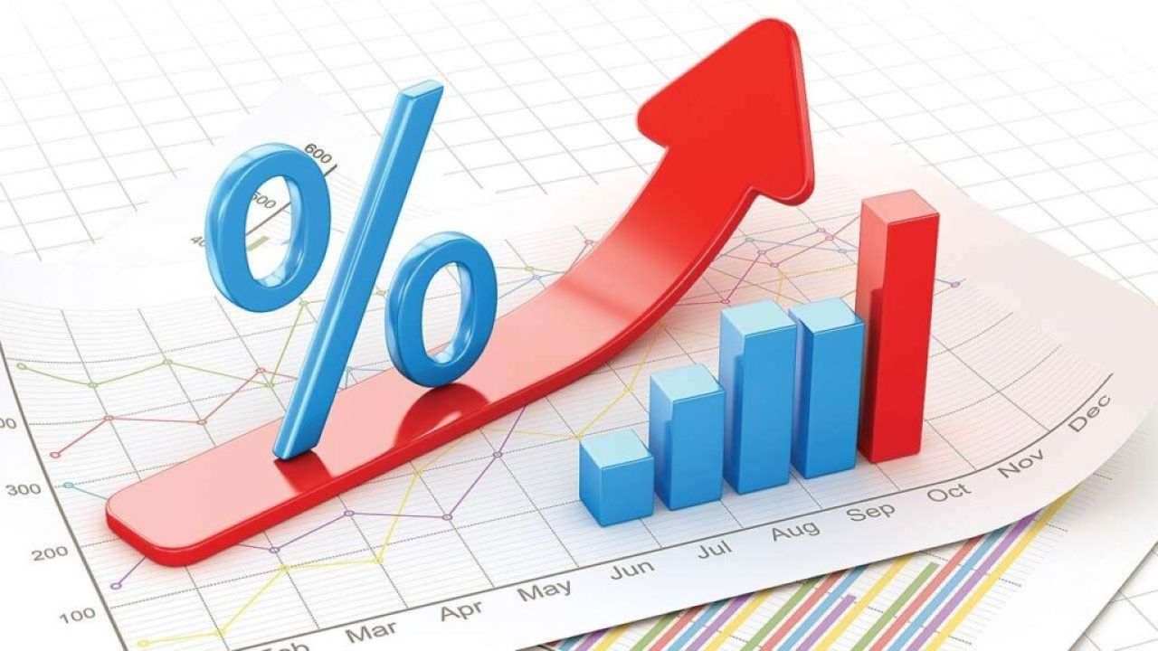 Տնտեսական ակտիվության ցուցանիշը կազմել է 11.4%