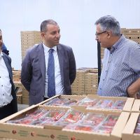 Էկոնոմիկայի նախարարը Կամարիսում այցելել է ջերմոցային տնտեսություն