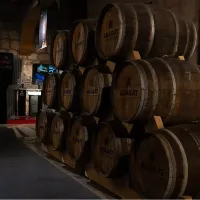 2023թ. հունվար-օգոստոսին Հայաստանում կոնյակի արտադրությունը նվազել է 22.1%-ով