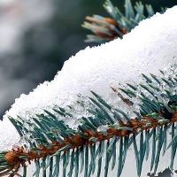 Հնարավոր է թույլ ձյուն