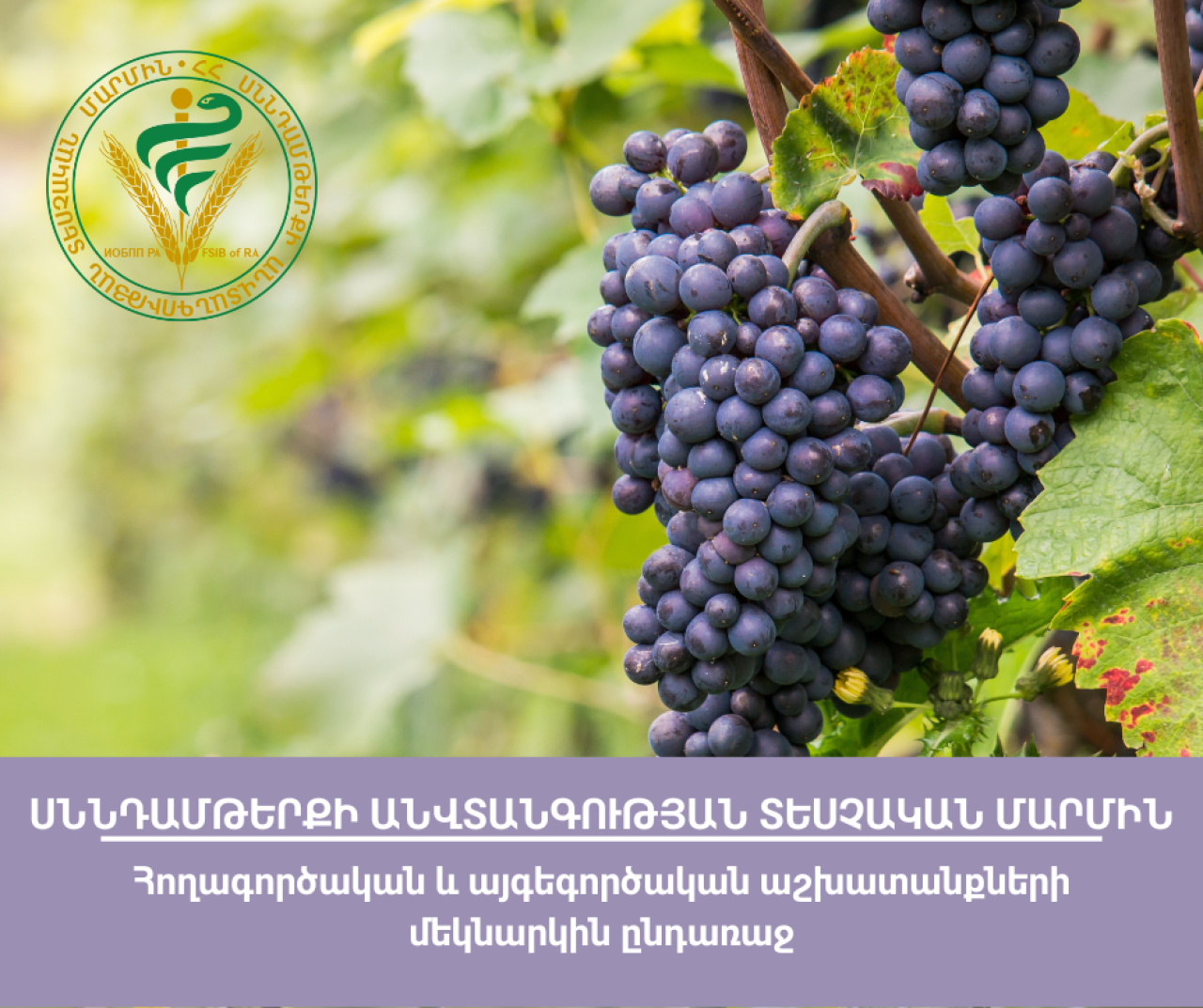 Հողագործական և այգեգործական աշխատանքների մեկնարկին ընդառաջ