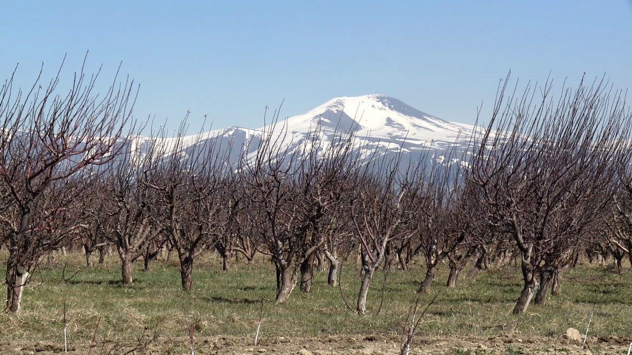 Որքա՞ն կկազմեն գյուղատնտեսության ոլորտում գործունեություն իրականացնող տնտեսվարողների աջակցությանն ուղղված ծախսերը