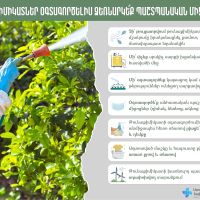 Ինչպե՞ս պաշտպանվել թունաքիմիկատներից