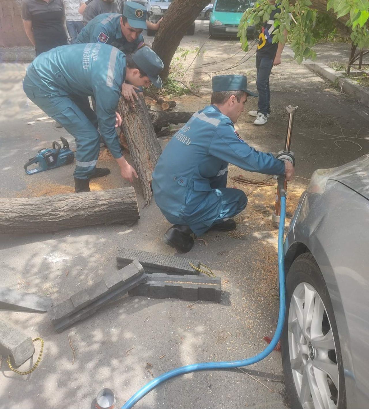 Փրկարարները վնասված ծառերը տեղափոխել են անվտանգ տարածք