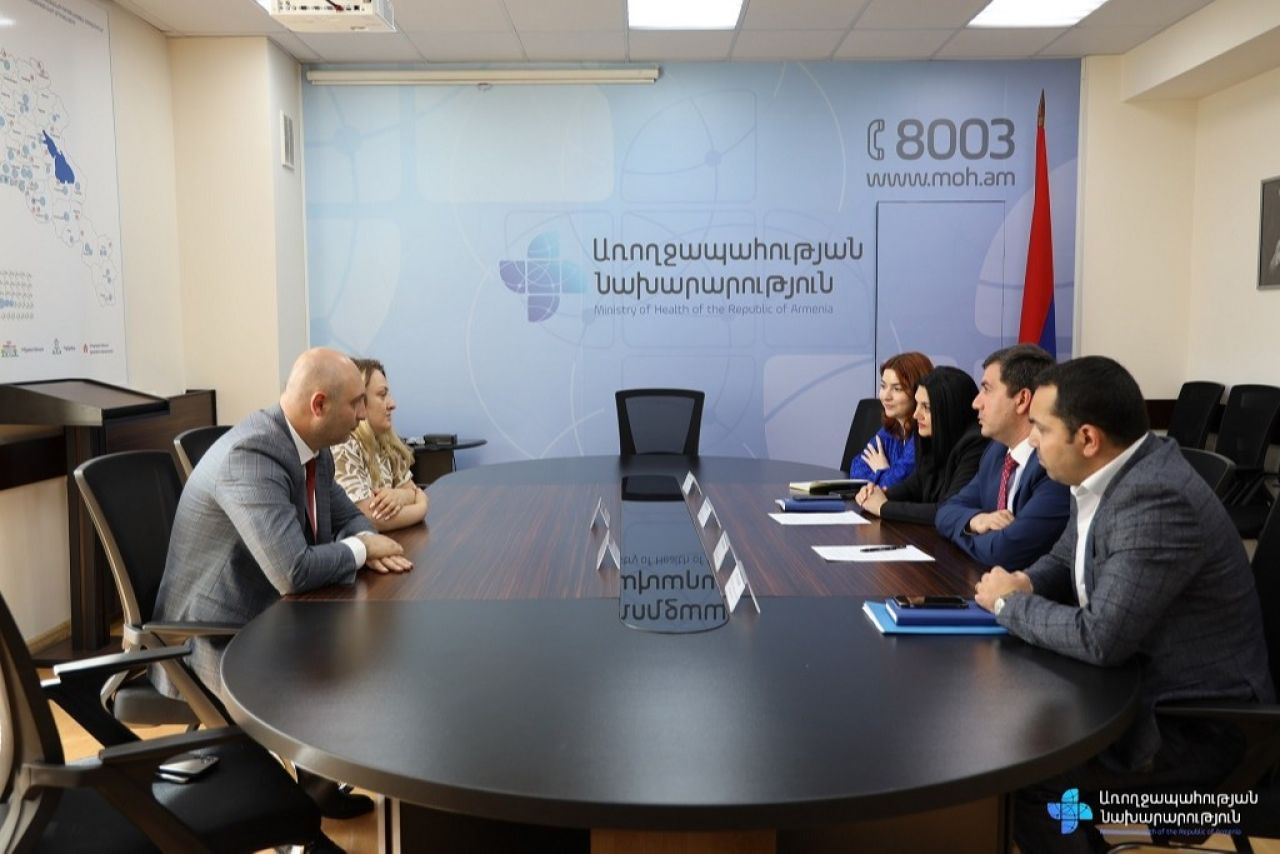 Առողջապահության նախարարությունում քննարկվել են ներդրումային և դրամաշնորհային ծրագրերի հնարավորությունները