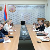 Նարեկ Մկրտչյանը Հայաստանում ՄԱԿ մշտական համակարգող Ֆրանսուազ Ժակոբին ներկայացրել է աշխատանքի և զբաղվածության ոլորտի գերակայությունները