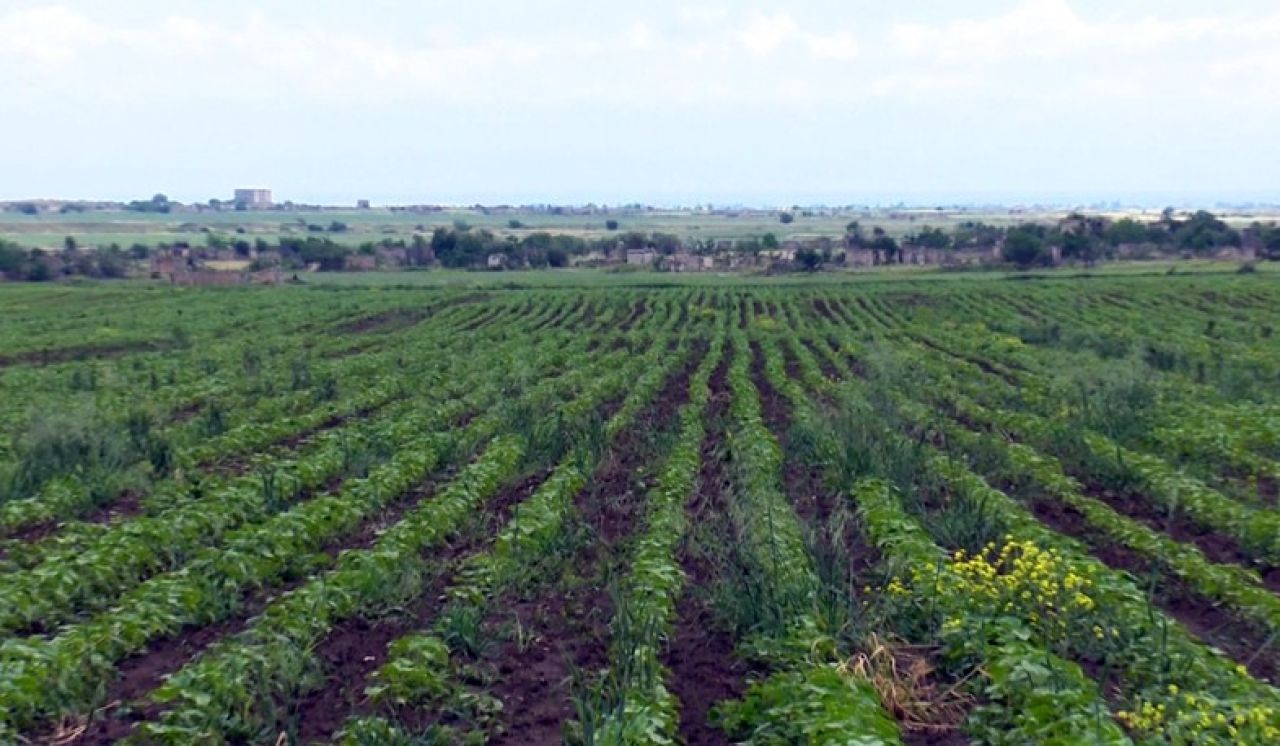 Փոփոխություններ՝ Գյուղատնտեսության ոլորտում ապահովագրական համակարգի ներդրման փորձնական ծրագրում