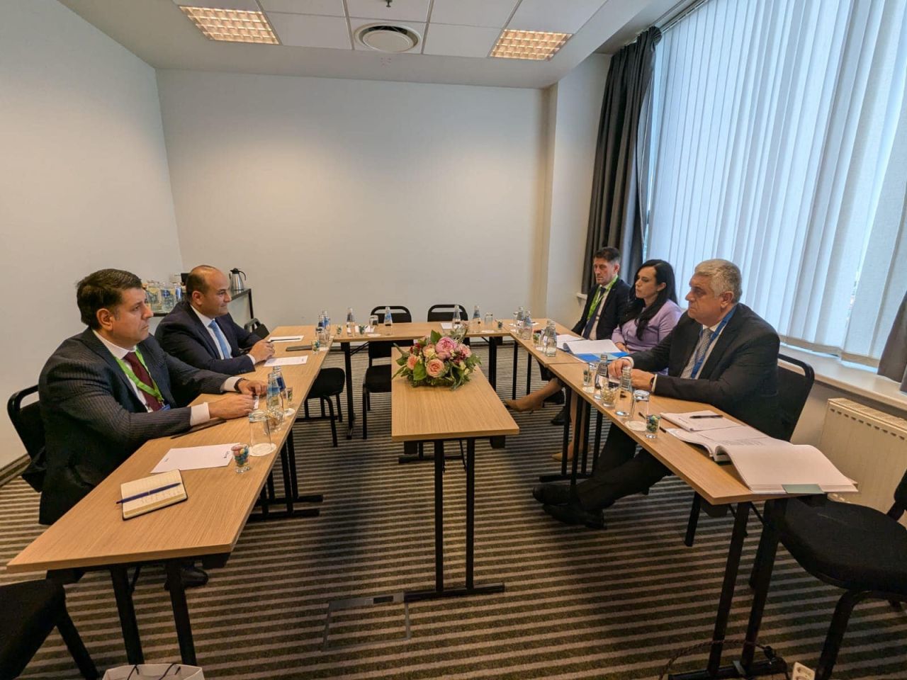 Նարեկ Մկրտչյանը հանդիպել է Ռումինիայի աշխատանքի և սոցիալական համերաշխության նախարար Սիմոնա Բուկուրա Օպրեսկուին