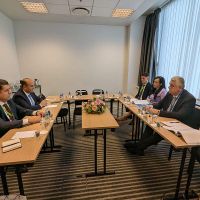 Նարեկ Մկրտչյանը հանդիպել է  Ռումինիայի աշխատանքի և սոցիալական համերաշխության նախարար Սիմոնա Բուկուրա Օպրեսկուին