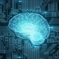 Nvidia-ն, Microsoft-ը և Meta-ն նախազգուշացրել են ներդրողներին AI-ի վրա «խաղադրույքներ կատարելու» ռիսկերի մասին