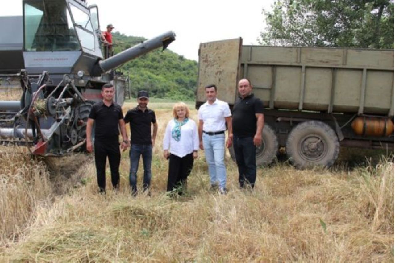 Բերդ համայնքում մեկնարկել և ընթացքի մեջ է հացահատիկի բերքահավաքը