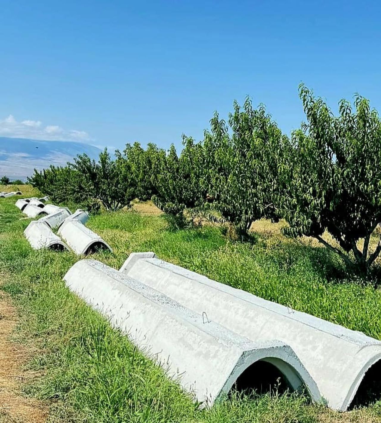 Այգեպատ բնակավայրում մեկնարկել են 2023 թվականի սուբվենցիոն ծրագրով իրականացվող՝ ոռոգման համակարգի կառուցման աշխատանքները