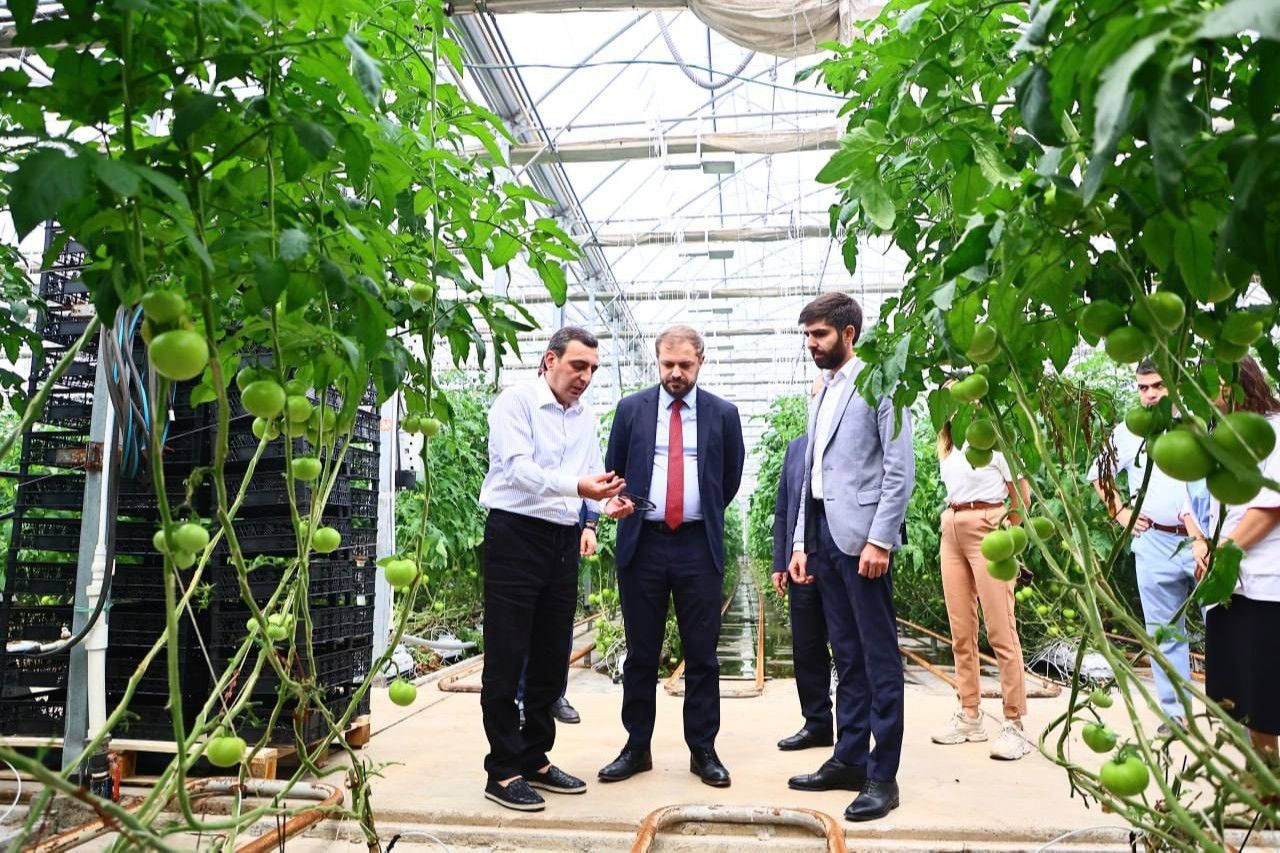 Գևորգ Պապոյանն այցելել է Երևանի Նորագավիթ թաղամասում գործող ջերմոցային համալիր