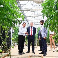 Գևորգ Պապոյանն այցելել է Երևանի Նորագավիթ թաղամասում գործող ջերմոցային համալիր