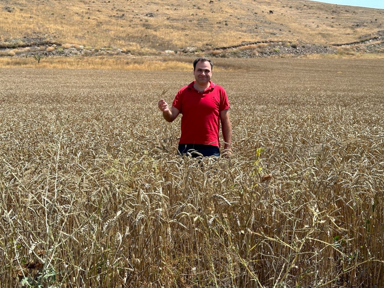 Within the ECOserve Programme 542 ha of arable land and 100 ha of pastures have been improved