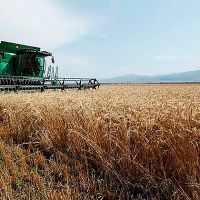 Գեղարքունիքի մարզում կուտակվել է շուրջ 74 հազար տոննա անասնակեր