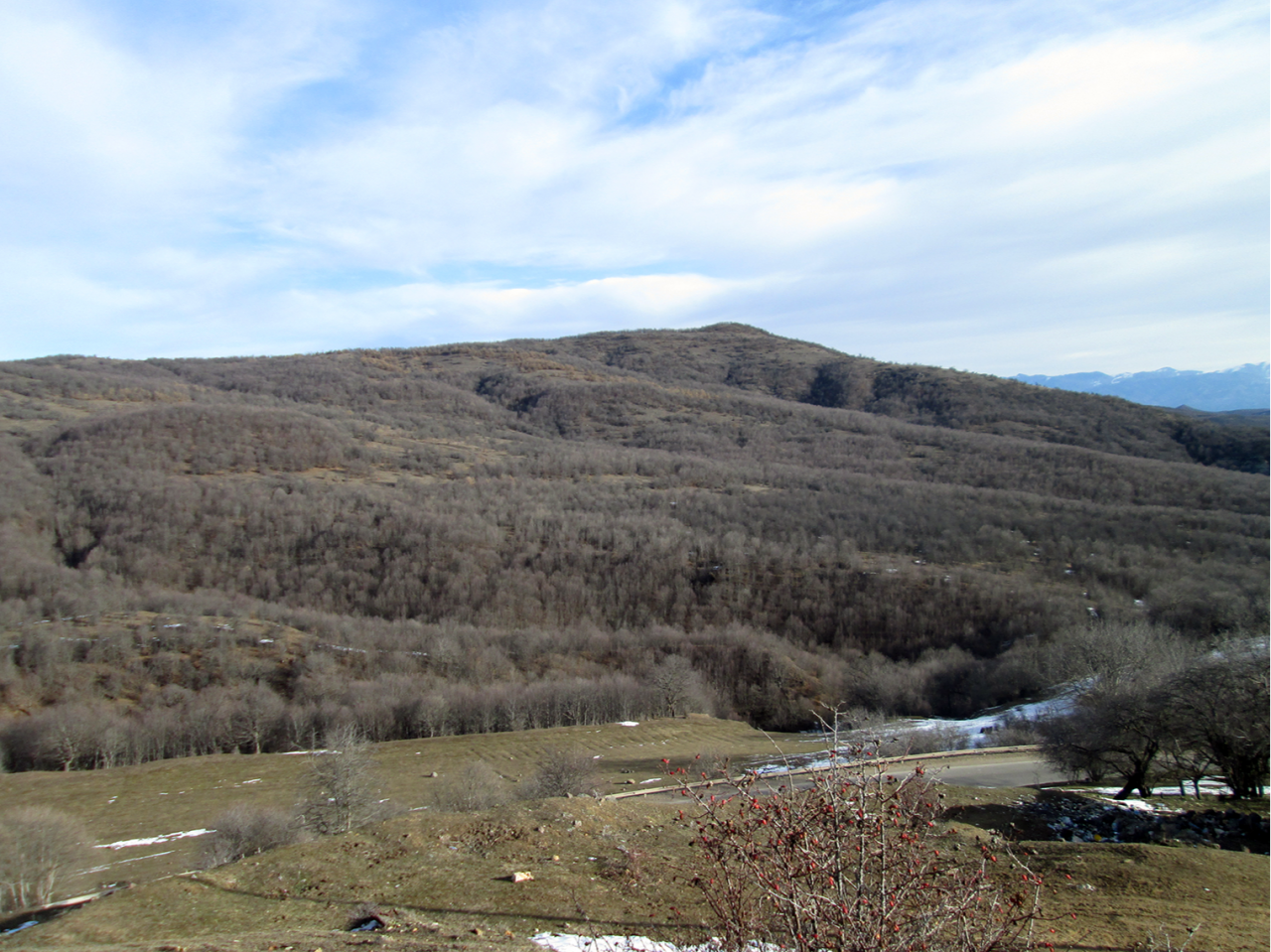 Դավիթբեկցու եւ շուռնուխցու հույսը պետությունն է