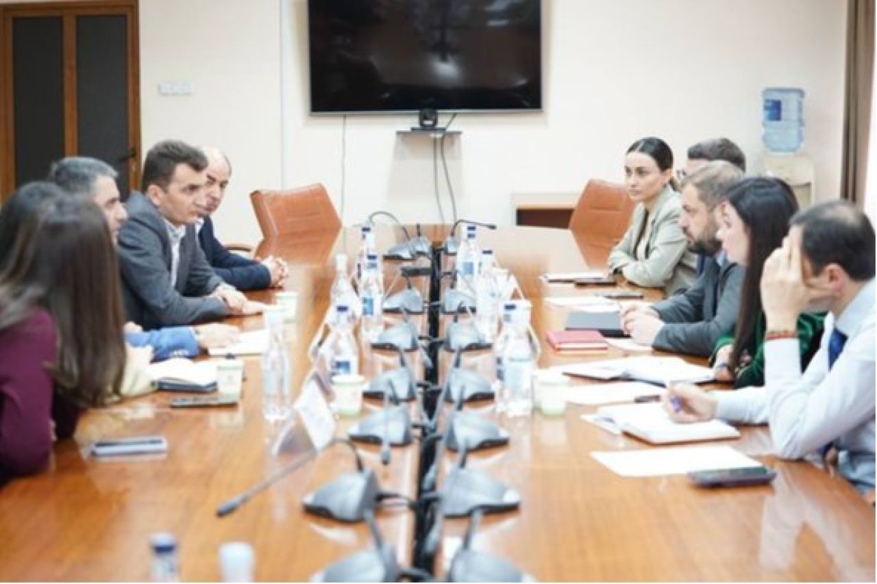 ԷՆ. Հանդիպում ադամանդագործության ոլորտի ներկայացուցիչների հետ