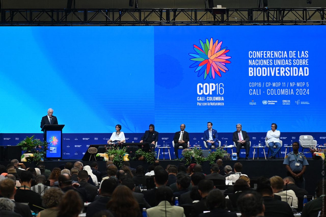 2026 թվականին COP17-ը կանցկացվի Հայաստանի Հանրապետությունում