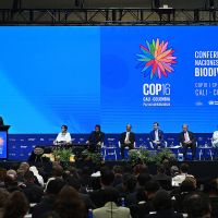 2026 թվականին COP17-ը կանցկացվի  Հայաստանի Հանրապետությունում