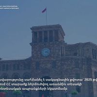 Հաստատվել է առանձին տեսակի գյուղատնտեսական ապրանքների ներմուծման սակագնային քվոտան