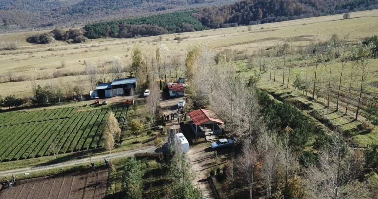 2027 թ․–ին Հրանտ Դինքի անվան անտառը հանձնվելու է Ֆիոլետովո համայնքին