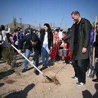 Ծառատունկ՝ Հյուսիս-հարավ ծրագրի շրջանակում