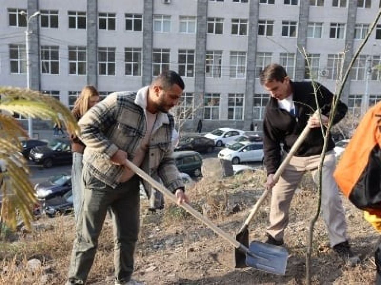 Աբովյան պուրակի դիմացի՝ Սարալանջի հատվածում ծառատունկ է կազմակերպվել