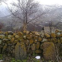 Քննարկվել են Գոմքի խնդիրները և իրականացվող ծրագրերը
