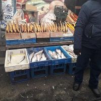 Գյումրու շուկայից առգրավվել է 15 կգ սիգ
