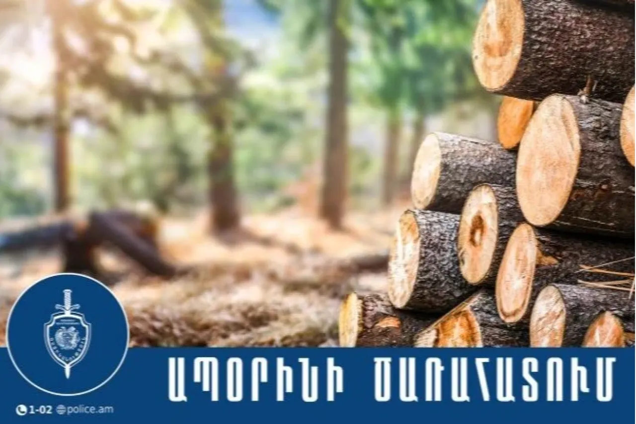 Տավուշում 18 կանգուն ծառ հատելու փաստով Քրեական վարույթ է նախաձեռնվել
