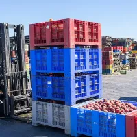 2024-ին Ռուսաստանն 9.9%-ով ավելացրել է բանջարեղենի ներմուծումը