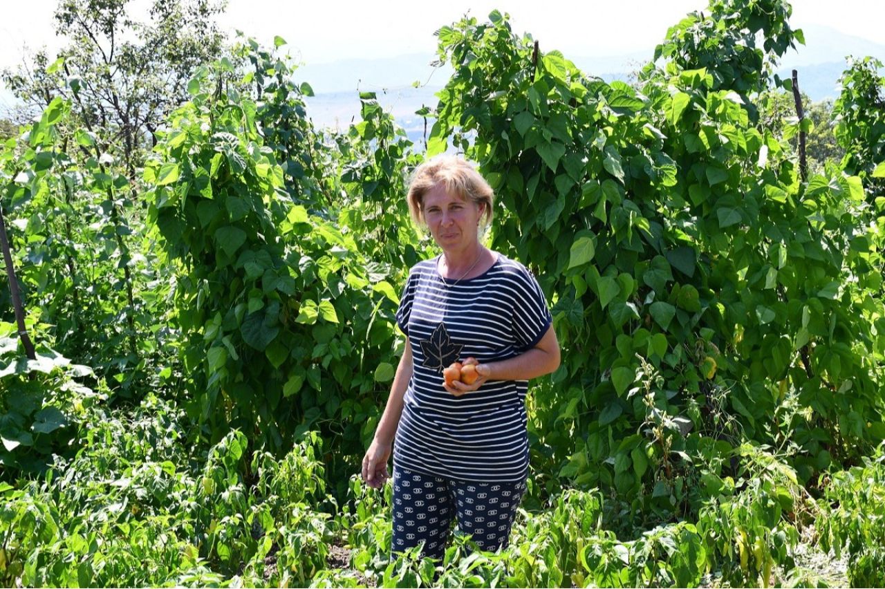 ՊԳԿ․ Կայուն ապագայի խթանումը Հայաստանում․ Հողերի կայուն կառավարման նախաձեռնությունների դերը
