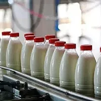 Արտահանվող կաթնամթերքի հումքը պետք է լինի բացառապես տեղական. ՍԱՏՄ