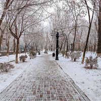 Ձյուն, տեղ-տեղ՝ բուք. եղանակի տեսություն