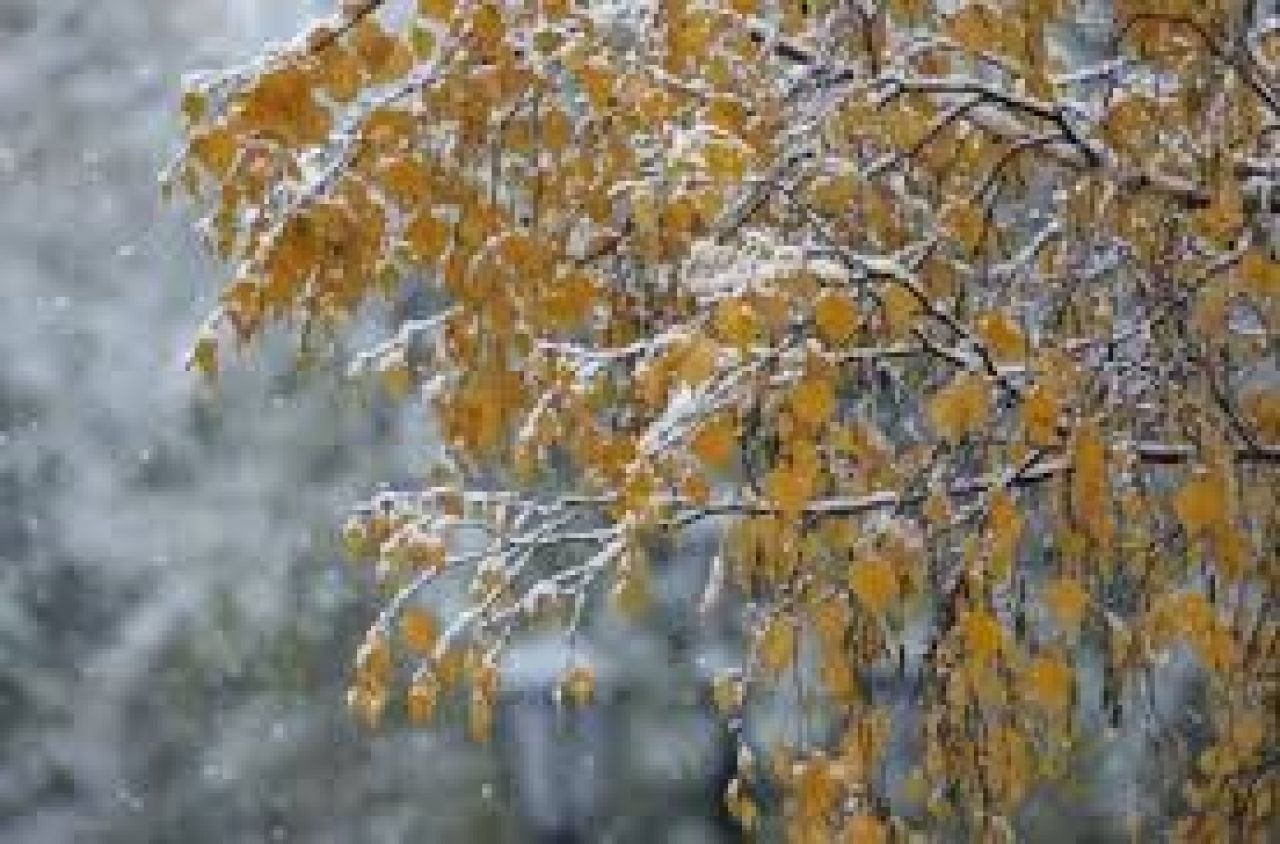 Ձյուն կտեղա. եղանակի տեսություն