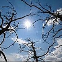 2 օր առանց տեղումների. եղանակի տեսություն