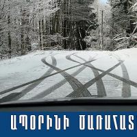 Իջևանի համայնքային ոստիկանները ապօրինի ծառահատման դեպք են բացահայտել