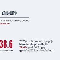 2025-ի հունվարին ՀՀ պետբյուջեի եկամուտները կազմել են 238.6 մլրդ դրամ