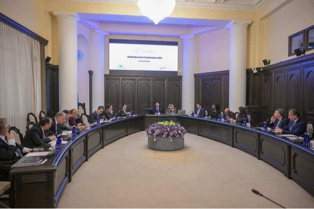 Շարունակվում են աշխատանքները COP17 համաժողովի կազմակերպման ուղղությամբ