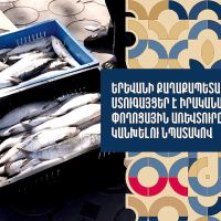 Երևանի քաղաքապետարանը ստուգայցեր է իրականացնում՝ փողոցային առևտուրը կանխելու նպատակով