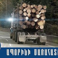 Դիլիջանի համայնքային ոստիկանները բացահայտել են ապօրինի ծառահատման դեպքերը