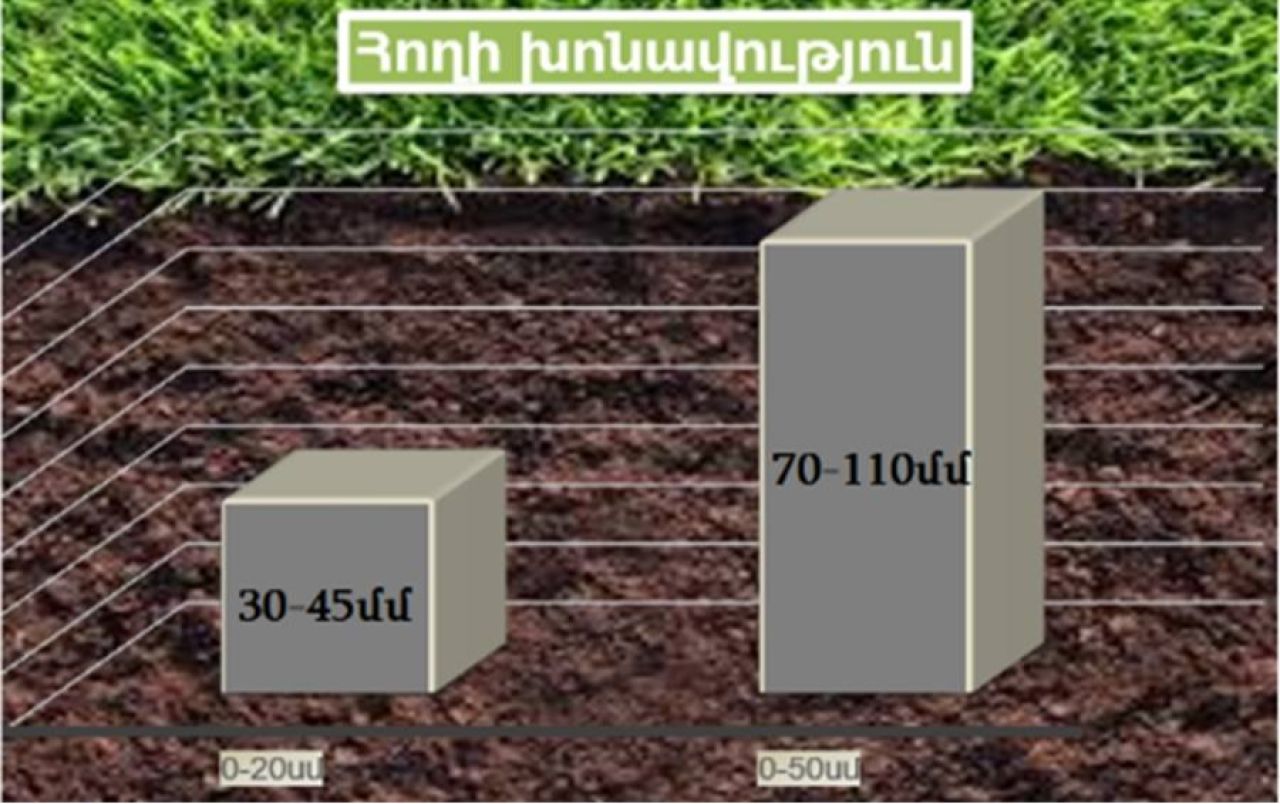 Հողի արդյունավետ խոնավության պաշարների գնահատականն աշնանացան ցորենի դաշտում