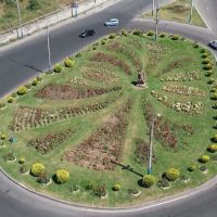 Կանաչ Երևան. աճող թվեր, բարելավվող միջավայր