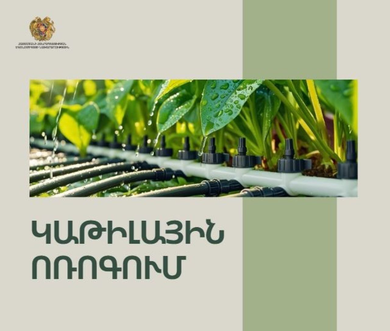 Արդյունավետության բարձրացում գյուղատնտեսությունում