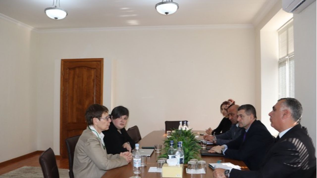 Վայոց ձորի մարզպետ Կոլյա Միքաելյանը հյուրընկալել է <<Թումո>> ստեղծարար տեխնոլոգիաների կենտրոնի տնօրեն Մարի Լու Փափազյանին