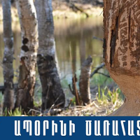 Իջևանի համայնքային ոստիկանները հայտնաբերել են գերաններով բեռնված մեքենան