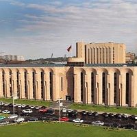Կենսունակության ավարտին մոտ, հիվանդ և ձևախեղված 59 թեղու փոխարեն՝ 82 հասուն գնդաձև կատալպա